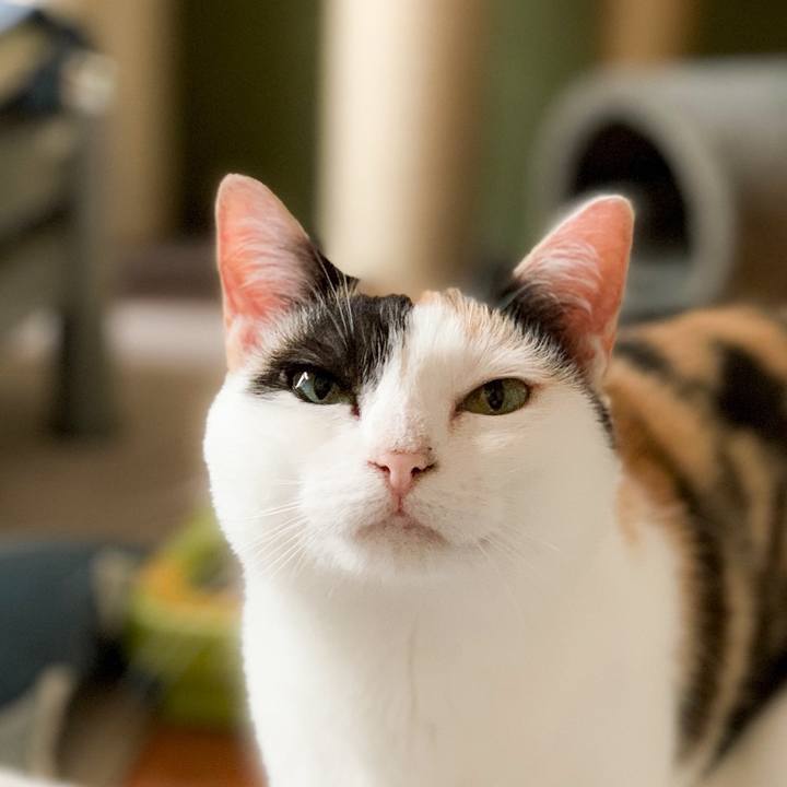 5911aca0 ebf7 40d3 bb44 571eba784680 1564795273701