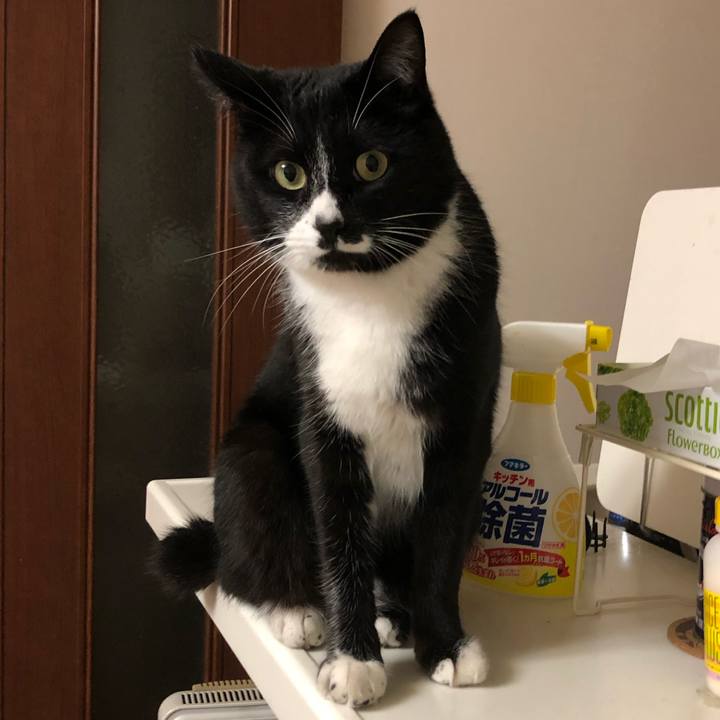 5911bdea 8a06 4b85 9a06 feffdb9ab16e 1556681222673