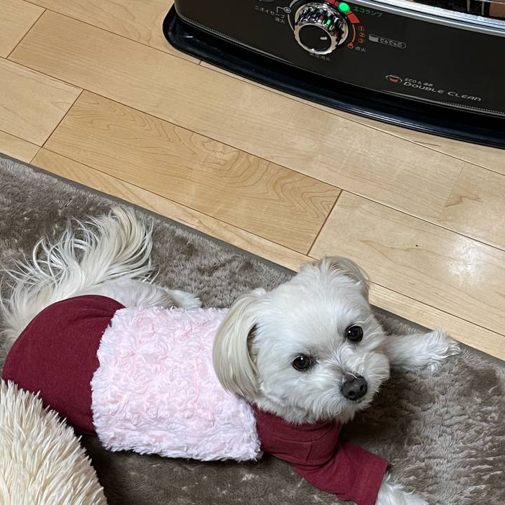 5911f919 37bc 407b a667 03b6c95f80a1 1676975554874