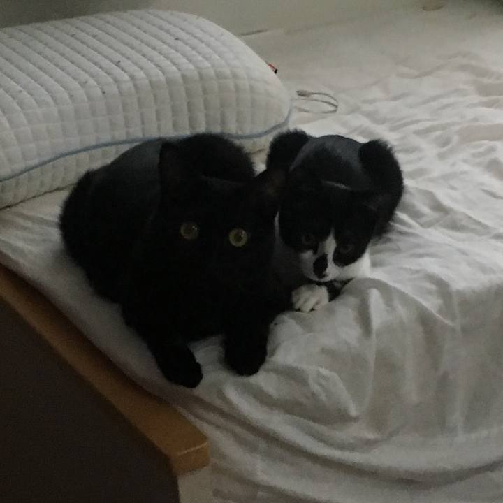 59121355 3064 4d98 a127 c466aea4aed7 1537778158045