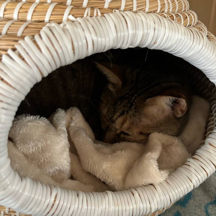 59121f0e 17b5 4088 87e1 c0e45e64f190 1719385620027