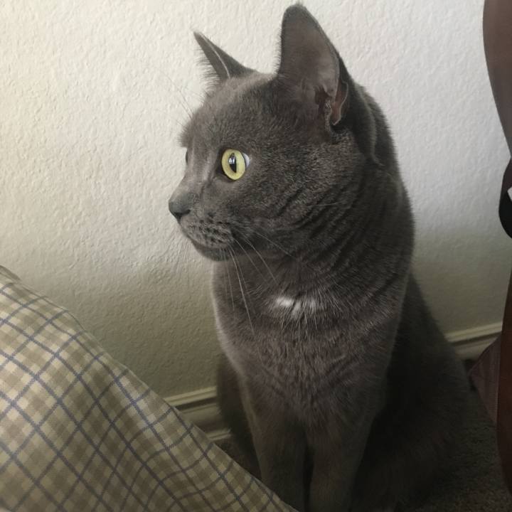 591231b8 91e6 46b9 94be b500de095d2d 1670279756373