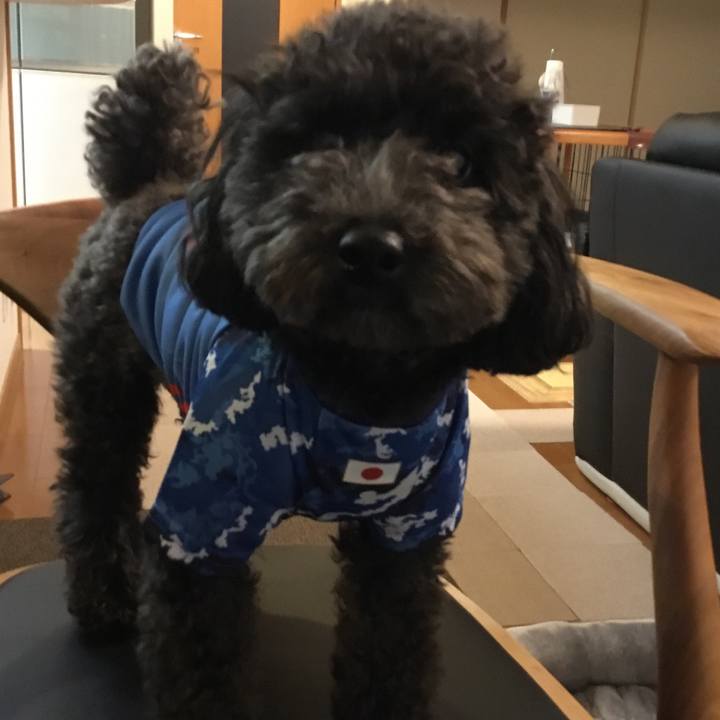 59123863 cdb8 412c aa75 3385d36407d4 1584585855692