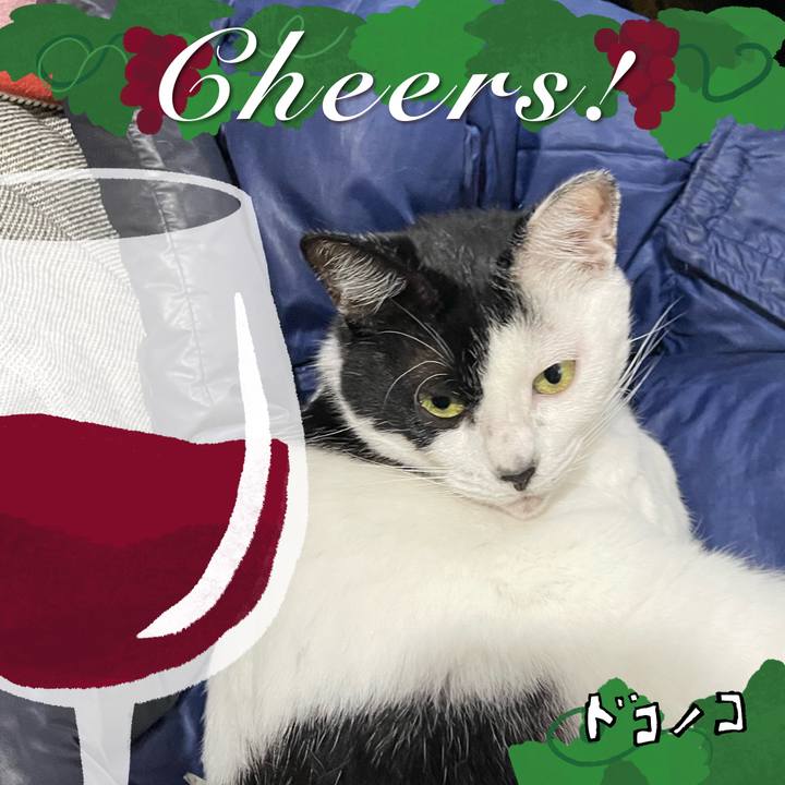 59124c83 7180 4b1f 9175 56adb3a26714 1762296424406