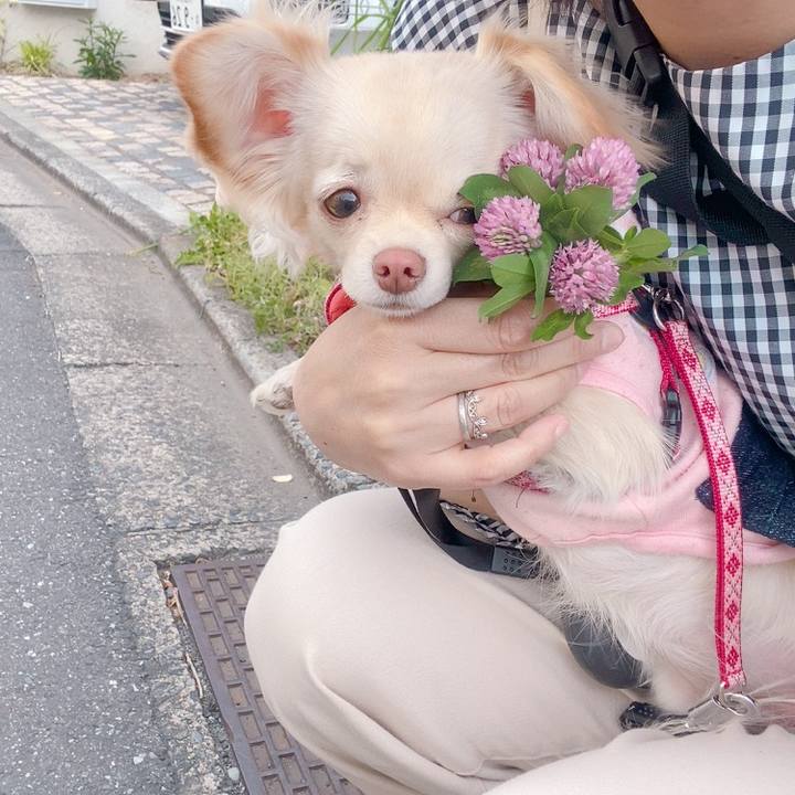 59127a00 a42d 4dbe b7ce 13c8af2087f3 1619080531457