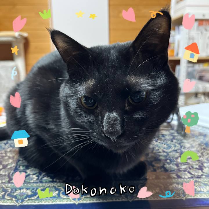 591296ac 5c34 48c8 8ac7 cc3cf1d18b59 1741134729077