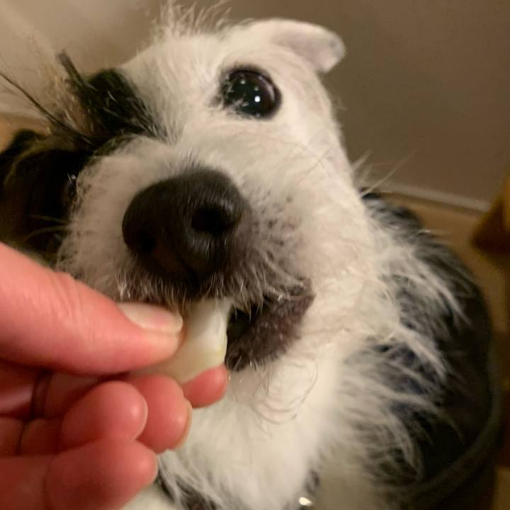 5912bc90 12ba 47b8 b7e2 6ee83ea880c0 1674468906380