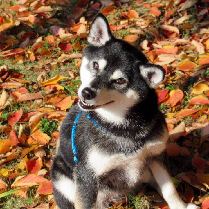 591301b2 4c0c 4fd6 ac31 8af9e75659b1 1570251299296