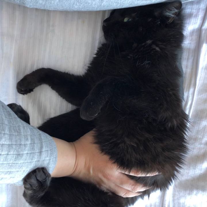 59131dc6 0a2d 40b4 898c 22c392880a45 1584245653002