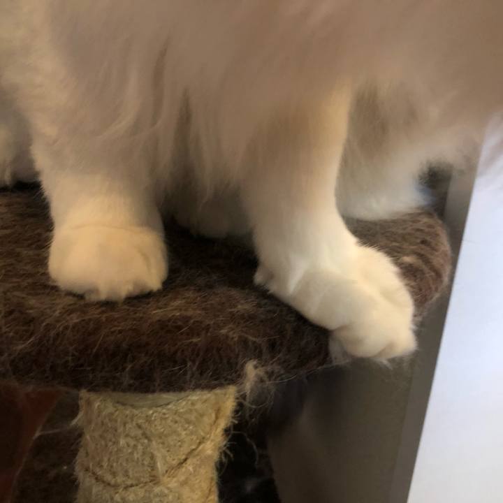 591334e8 431f 47f5 a273 8ce9e7c4f2df 1594631401790