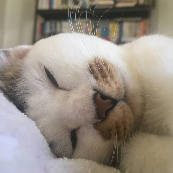 59133fd4 6a50 4da9 b336 8172e61ed763 1520812728025