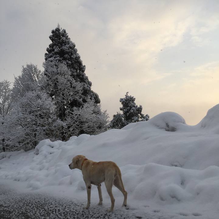 59134b72 3b52 41f9 a8fd a4554d23eeb1 1519255166438