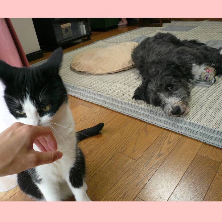 59137173 6fa3 474a 8f65 c5639daa3222 1612402666745