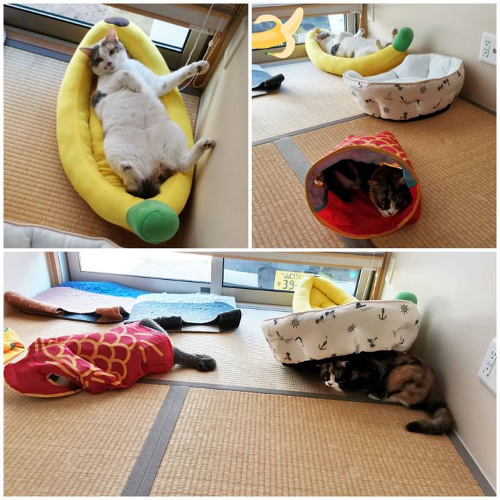 591371d0 00f4 448b b8fd 73e4cda72ef0 1659065167536