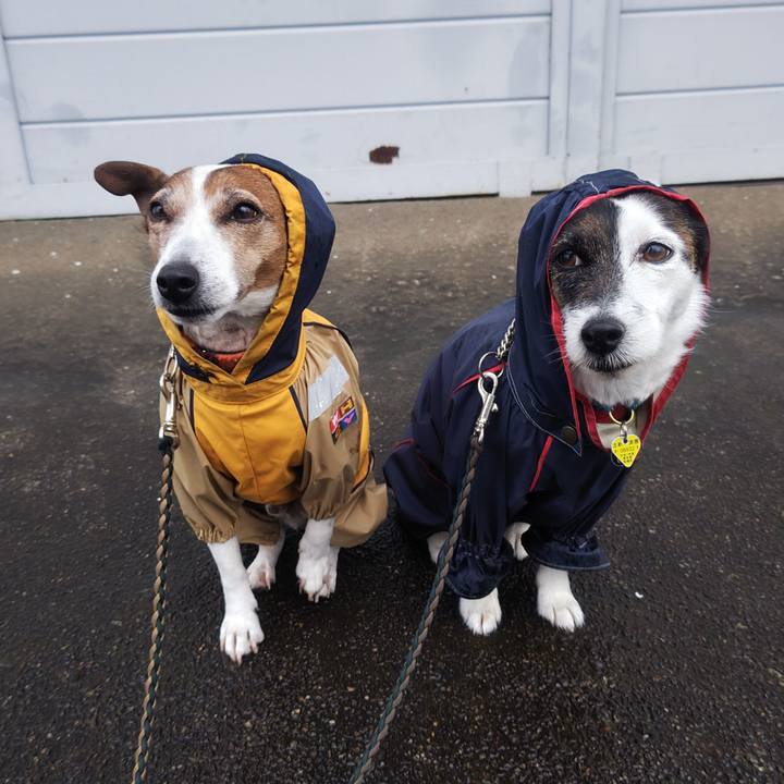 5913d524 369a 4a8c b641 163f1ecdb5e4 1772578021707