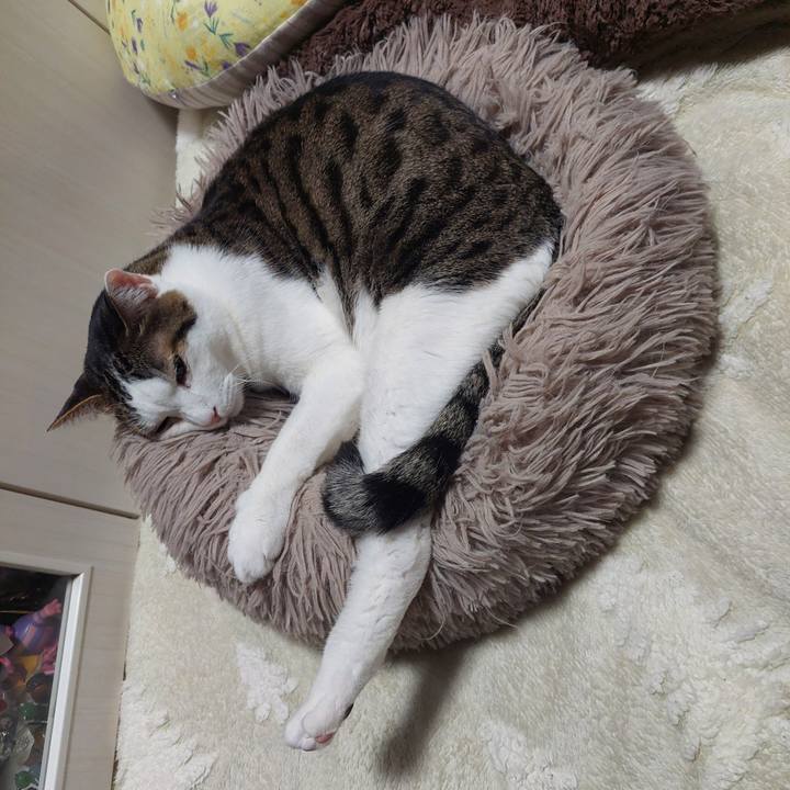 5914044a 5c0b 4c06 971e a897a28239ce 1770727806924