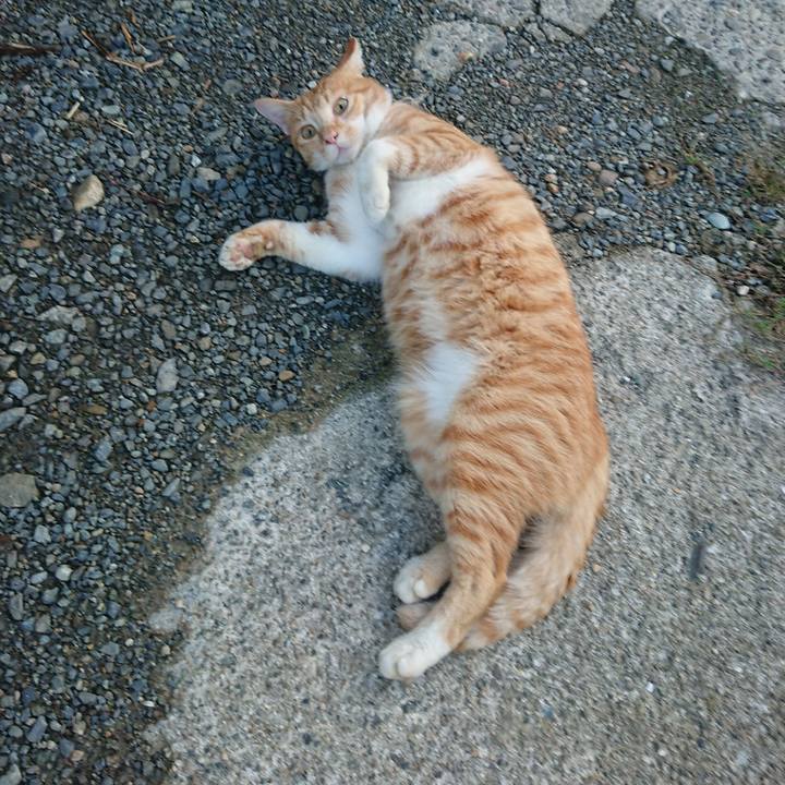 5914282d aaf8 4009 bb70 6563d381dcb1 1568235572196