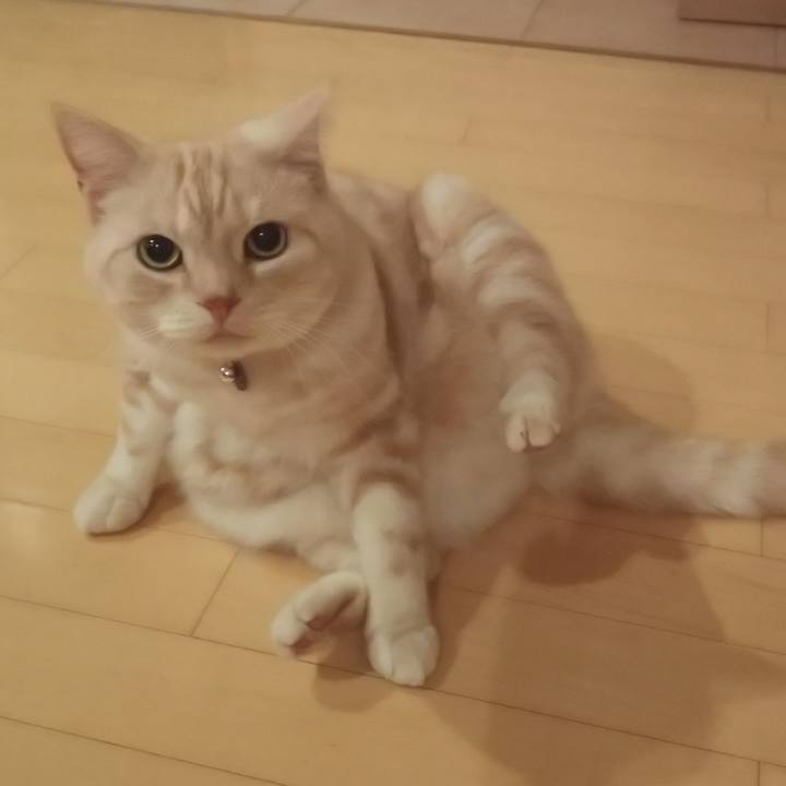 591432e5 ea35 468d 8f3d 6cdbb3eacd06 1542103913465