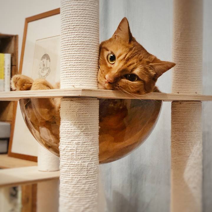 59144d6f e6f2 4260 9c9b 333b93243b39 1758230934310