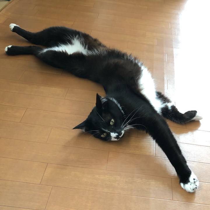 591493f6 02a6 4a3c 90e0 c29a35101908 1627529102531