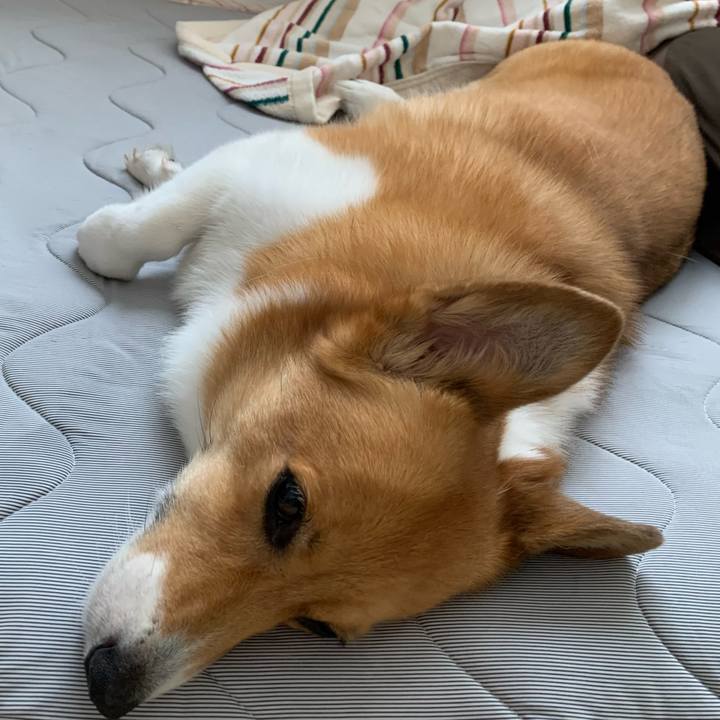 5914f456 20a2 45d3 bdfb 0bfc179f9583 1661727947911