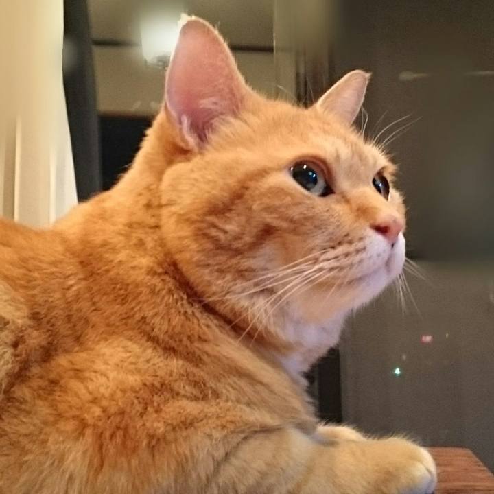 59150e83 1ed5 4043 be04 d604ffb0759d 1532264436755