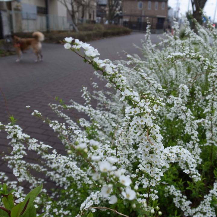 591536e0 9fa5 4702 a73b 695903666ede 1584864039065