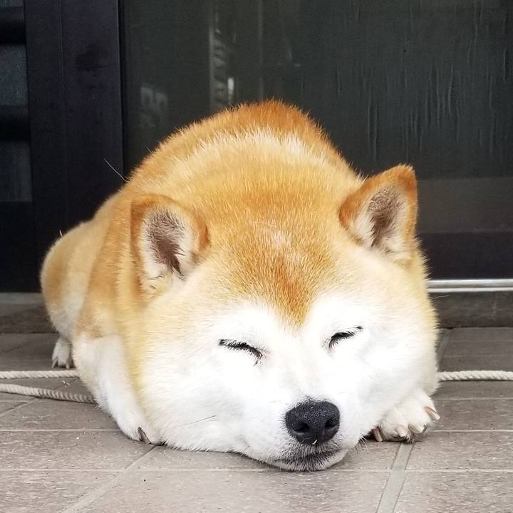 591548b5 dddb 462b bb48 8e4dfd0320c8 1655771624695