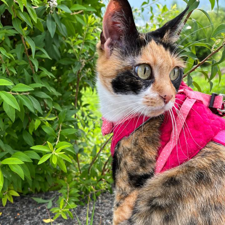 59155faa 2540 479a 9e8e ad4558f67a22 1655763490225