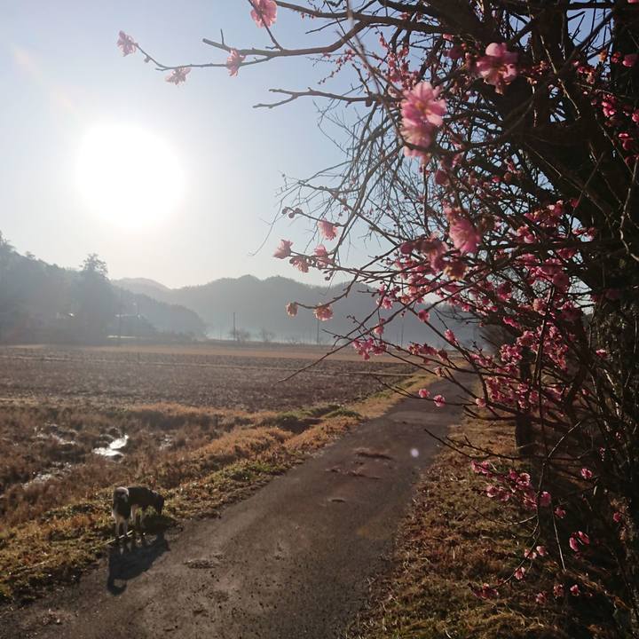 5915774d 7912 489b b4a4 96502964dafe 1613961954403