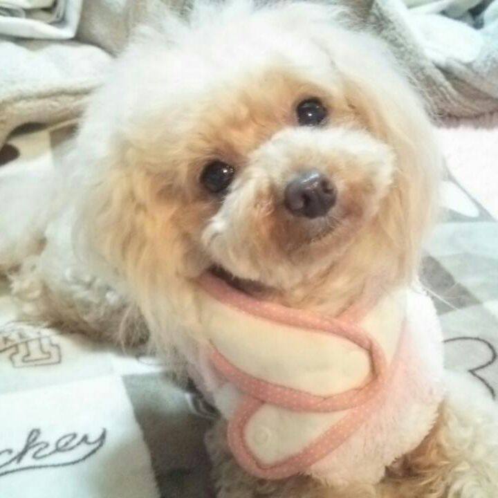 591582bf ddbf 496f be30 101f6502f46a 1552380758028