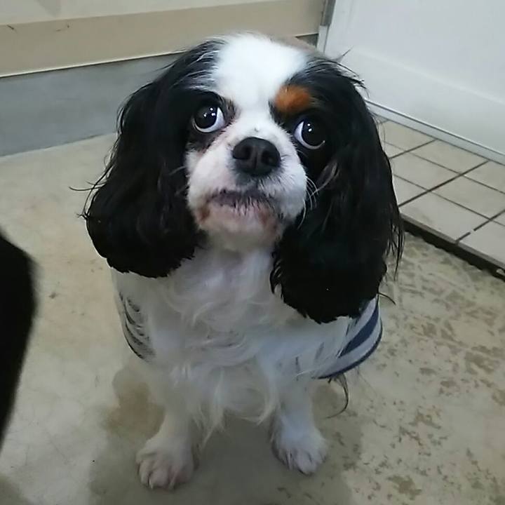 5915aa5a 2d6f 4bd9 ab62 1fdab342e625 1520310045408