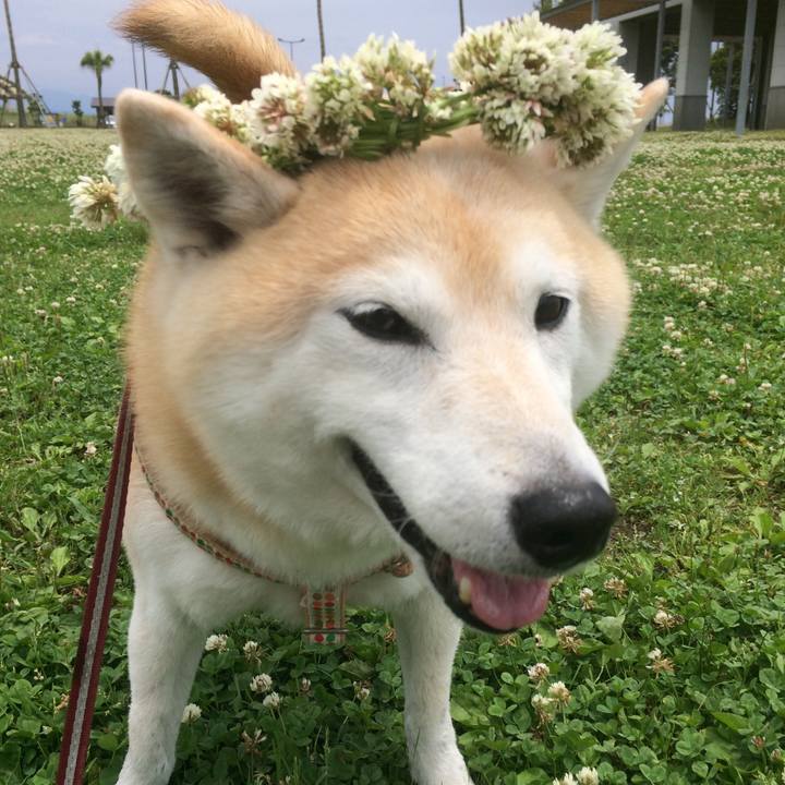 5915d67c a5b0 4d44 bffd 3c78c69ae2b2 1763966876317