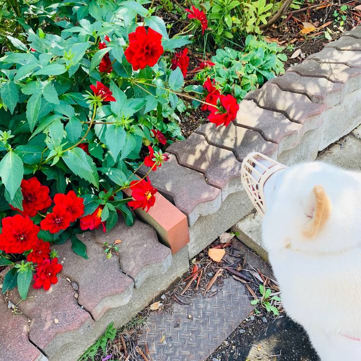 59161ab2 789a 48c8 b2cf e5fc0e8504ba 1572492082670