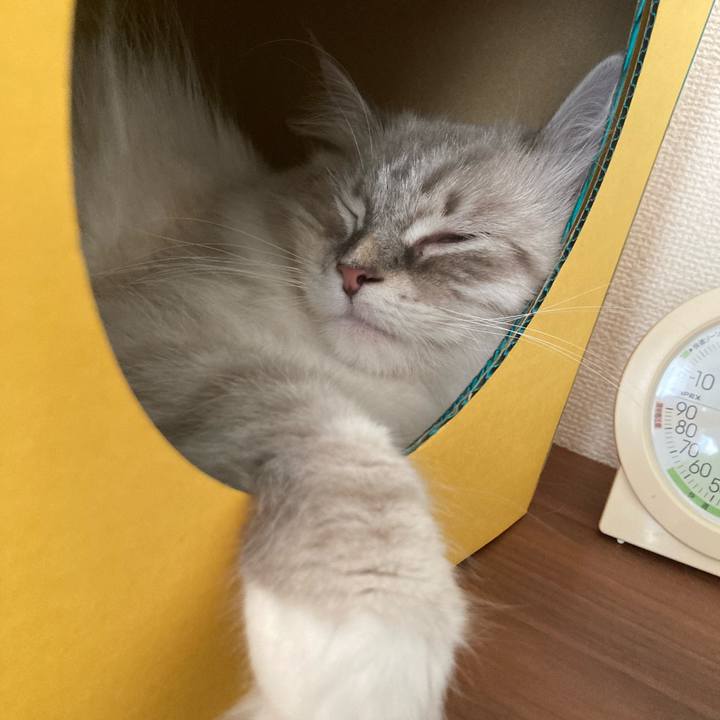 59163664 d5d8 4a69 9ee0 b3f893f9d63b 1689167082537