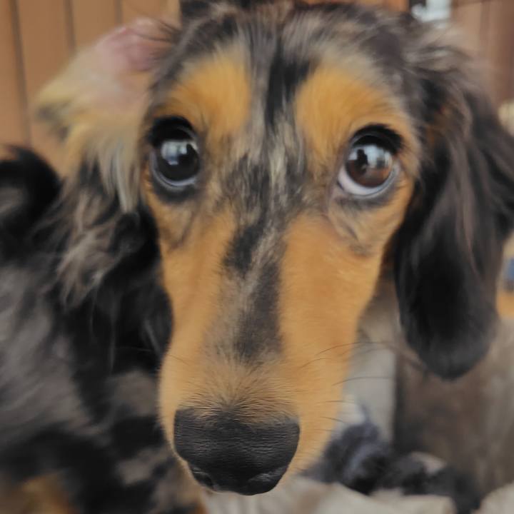 59165611 59a8 4a6b 9c81 4ddc3e52d51a 1760866687622