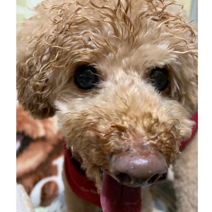 591659f4 a347 4d29 b8f4 64b0122a8c46 1578646909096