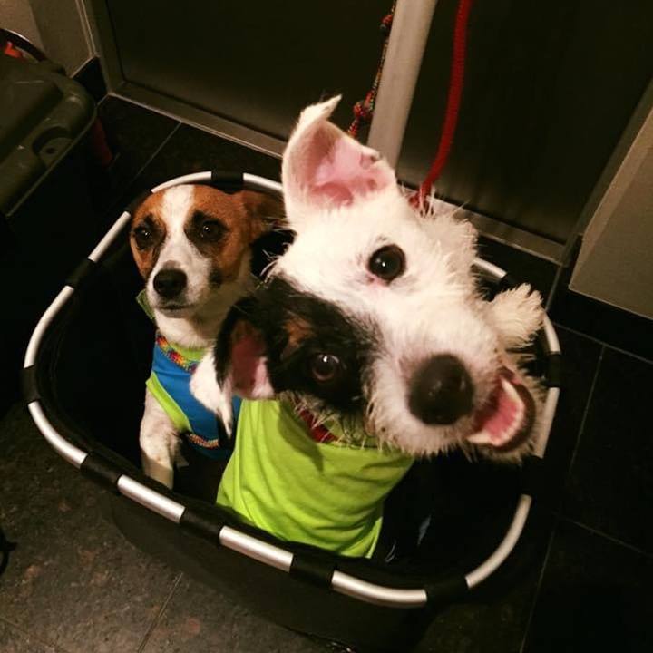 5916e4eb f53c 43da 876c 25e8dd56d57d 1655611909966