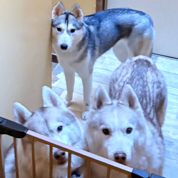 5916f19d f7c6 4652 ad8a 87de832c8ff3 1766846568749