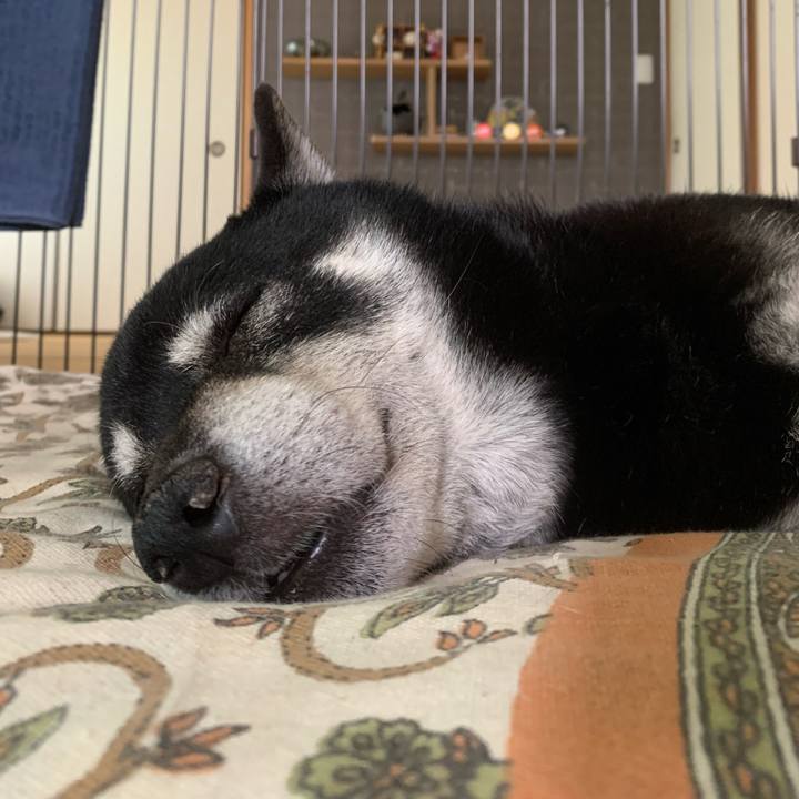 591716e4 c573 4716 a9ff d1b46fca1a75 1684462251904