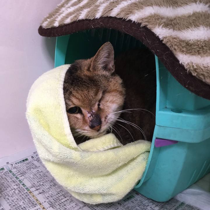 5917257f 9848 4fa7 96ad 98a22fb8dfd9 1515725746130