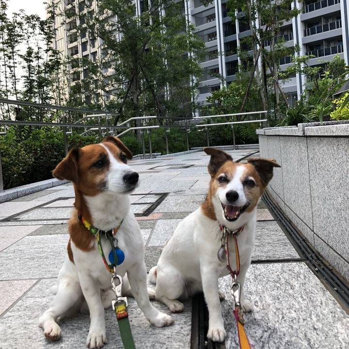 59173f21 a7d5 41df 887f aa4bd4e4c532 1528612000354