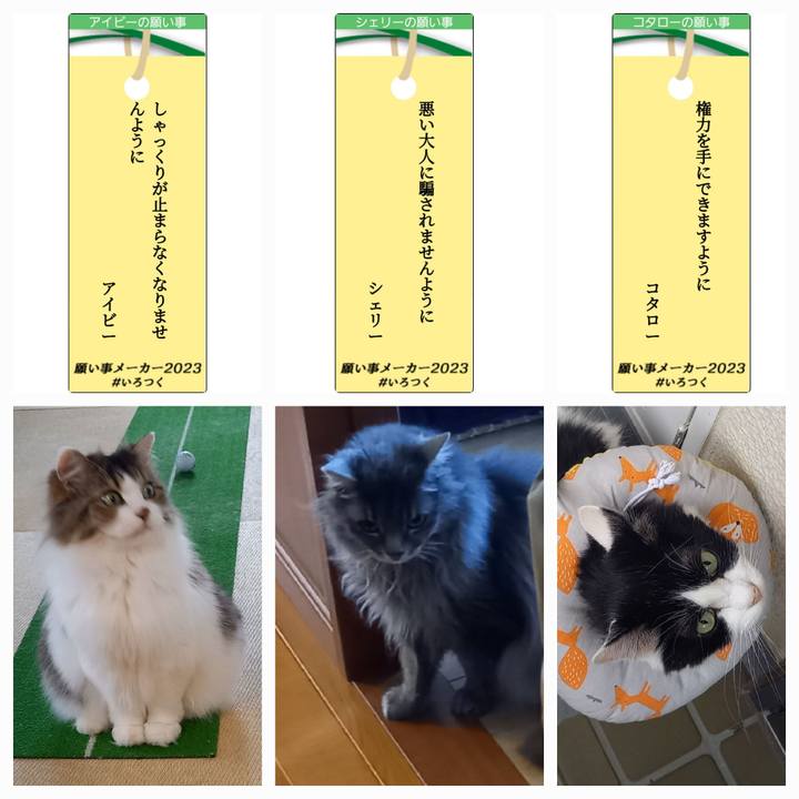 5917406a 0d0d 488b aa83 de5be2c09149 1688730581368