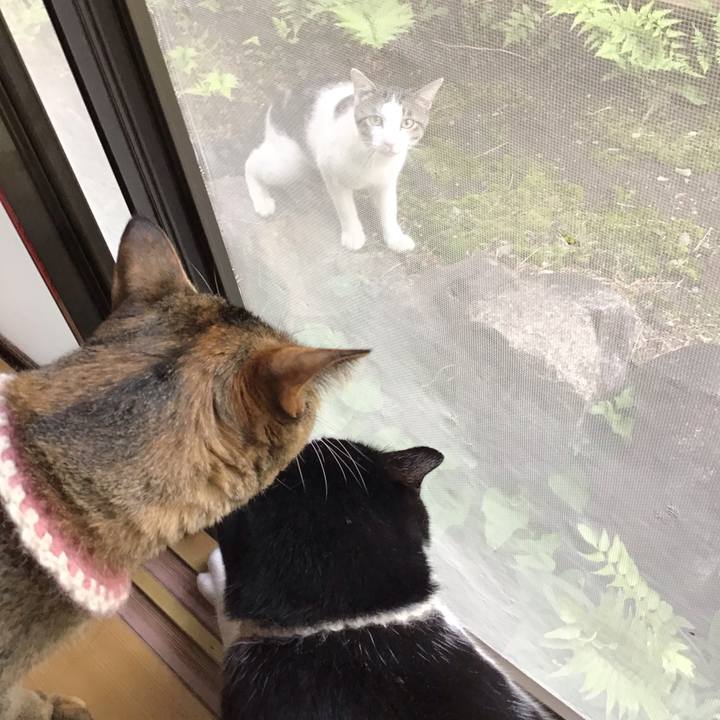 59175b17 b2ac 45bd 8237 ce2e1ca4aaa3 1655453824499