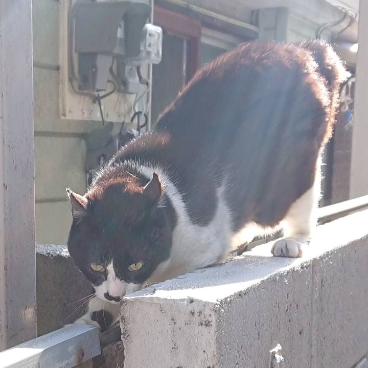 59176fb0 26bf 47c1 9605 1e2d8c2010e0 1619581095099