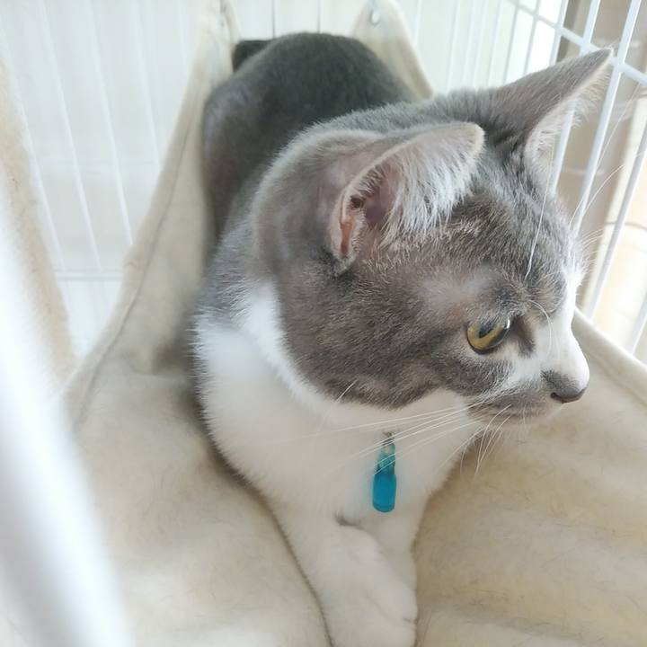 59177315 5d7f 41c1 adb6 43812aa961ea 1591670597114