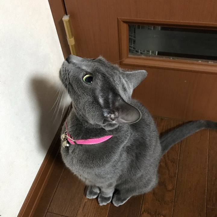 591773de ac6c 4f52 a71c 748dc78fa9e3 1546143133613