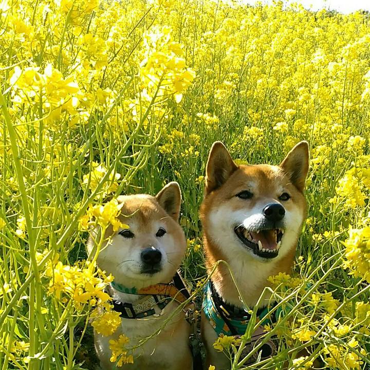 59178320 5be7 4dab a954 fd478a7ec498 1554362546621