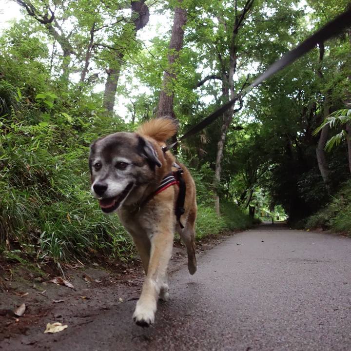 5917e298 49f7 4be3 a00c 1f89a2b460bd 1561767485157