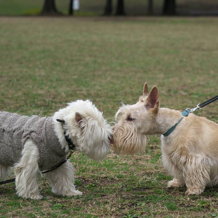 5917f7ff c2bf 4fa7 a6f9 030360cfbc12 1520732181041